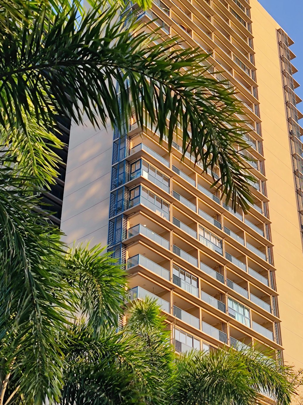 a tall building with trees in front of it