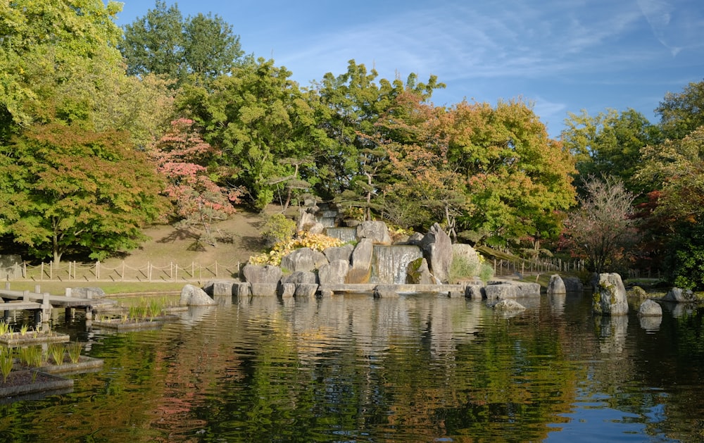 a body of water with trees around it