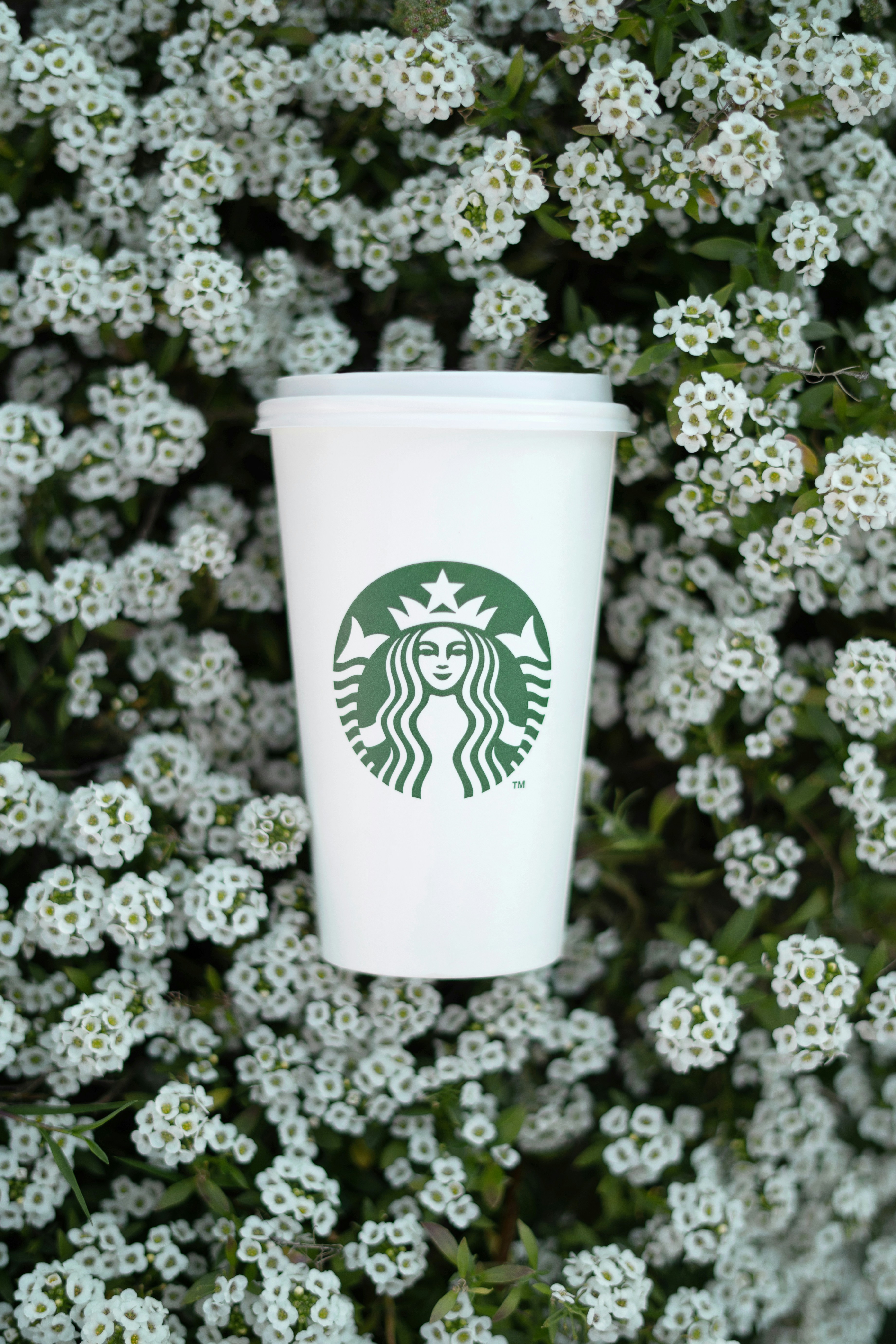 une tasse blanche avec un design vert entourée de fleurs blanches