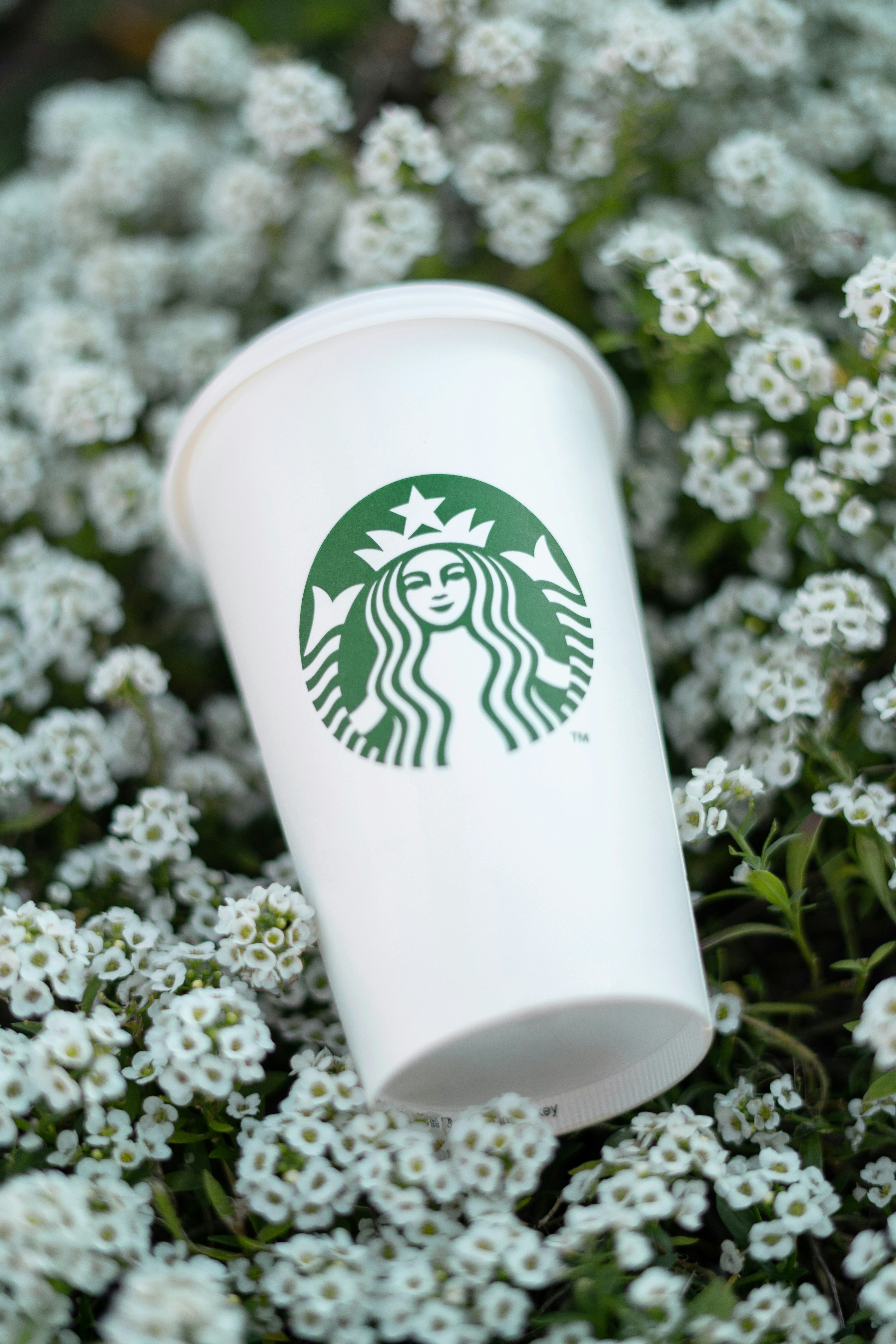 une tasse blanche avec un logo vert entourée de fleurs blanches