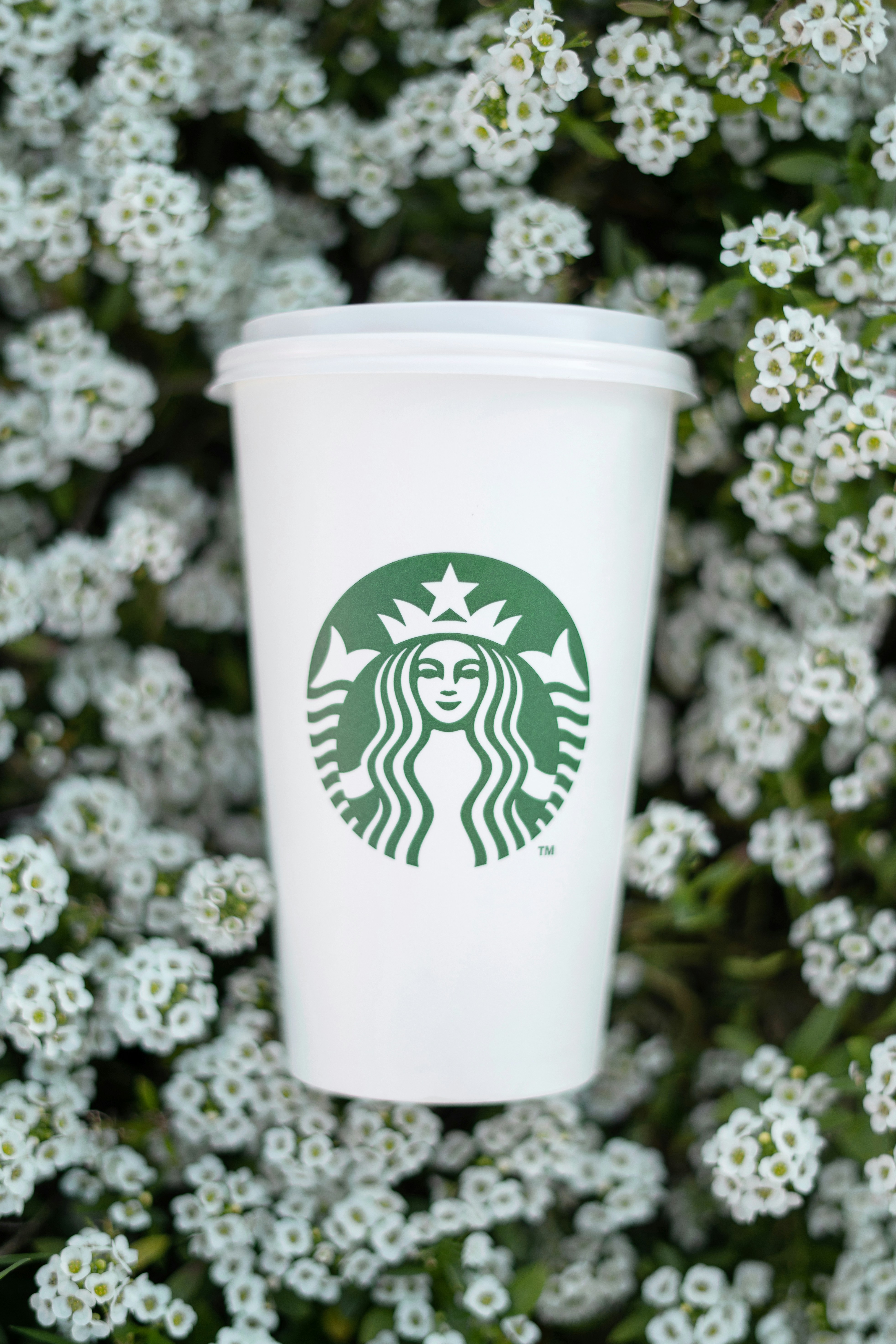 une tasse blanche avec un design vert entourée de fleurs blanches