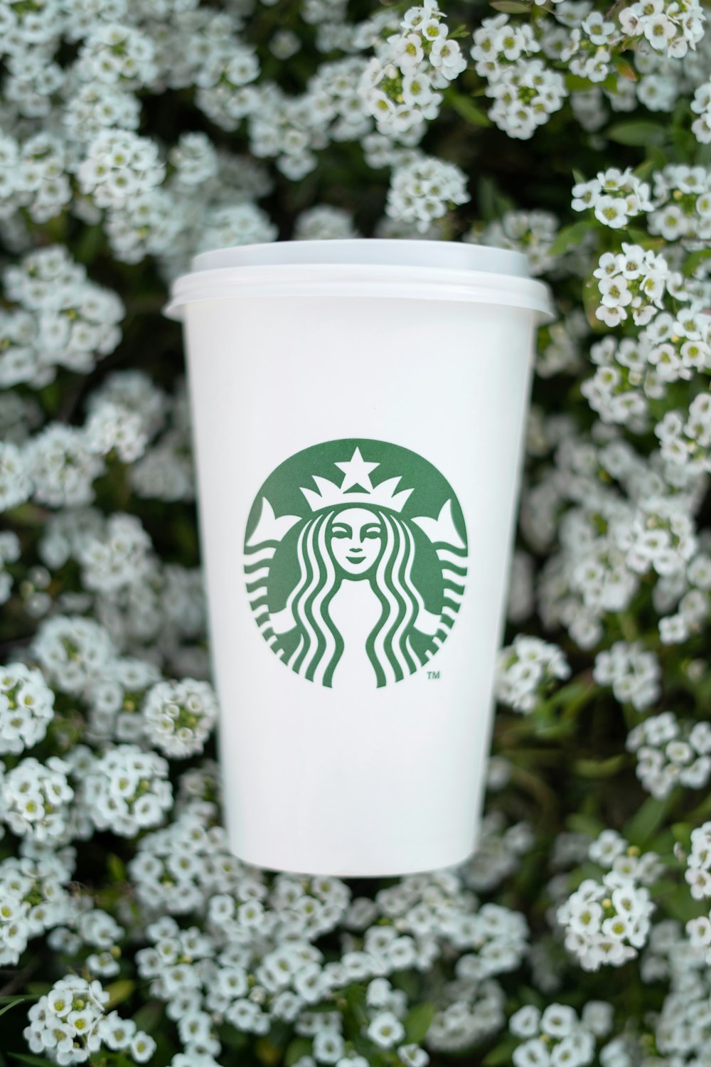 a white cup with a green design on it surrounded by white flowers