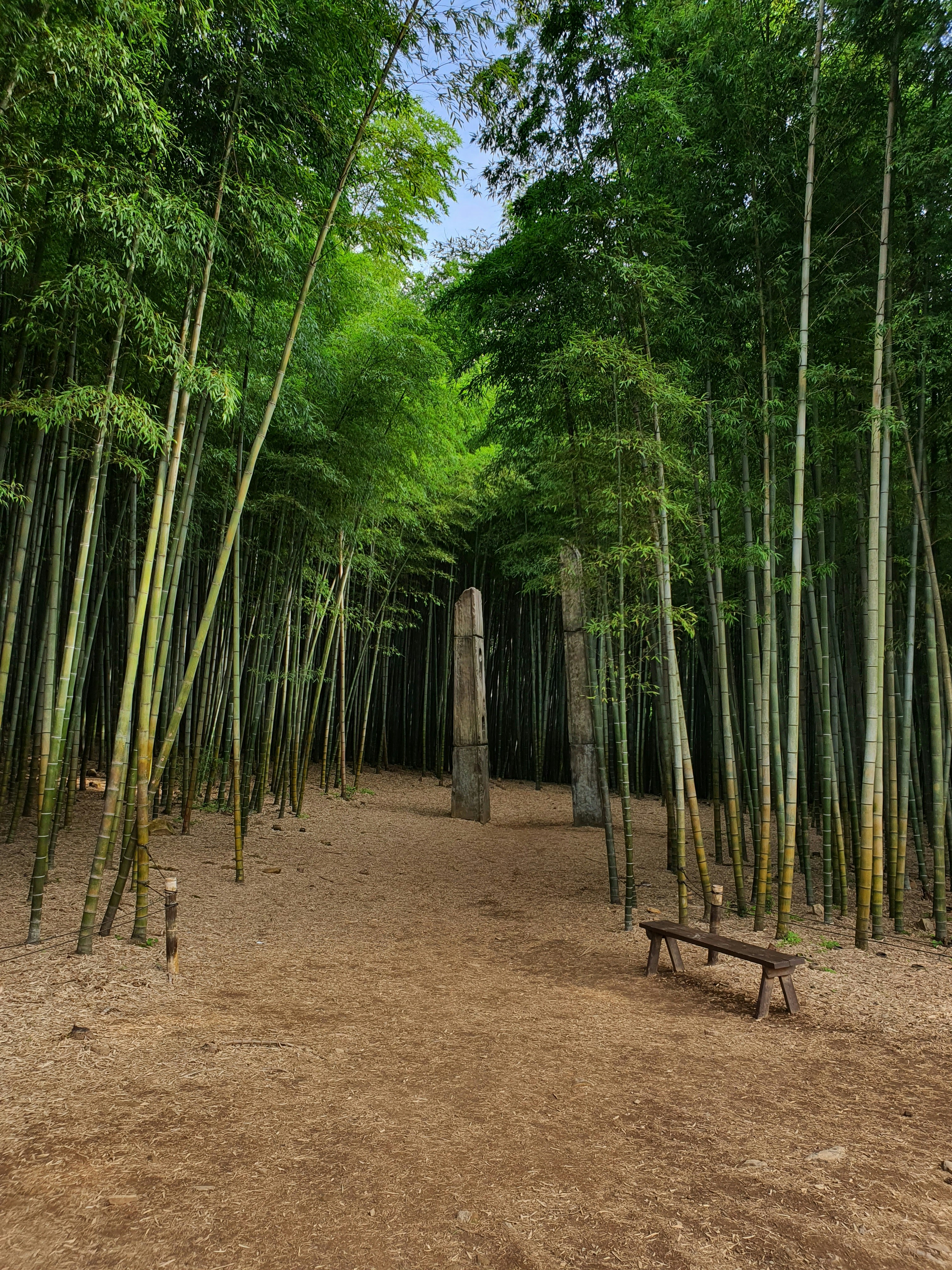 Home to majestic mountains and steaming hot springs