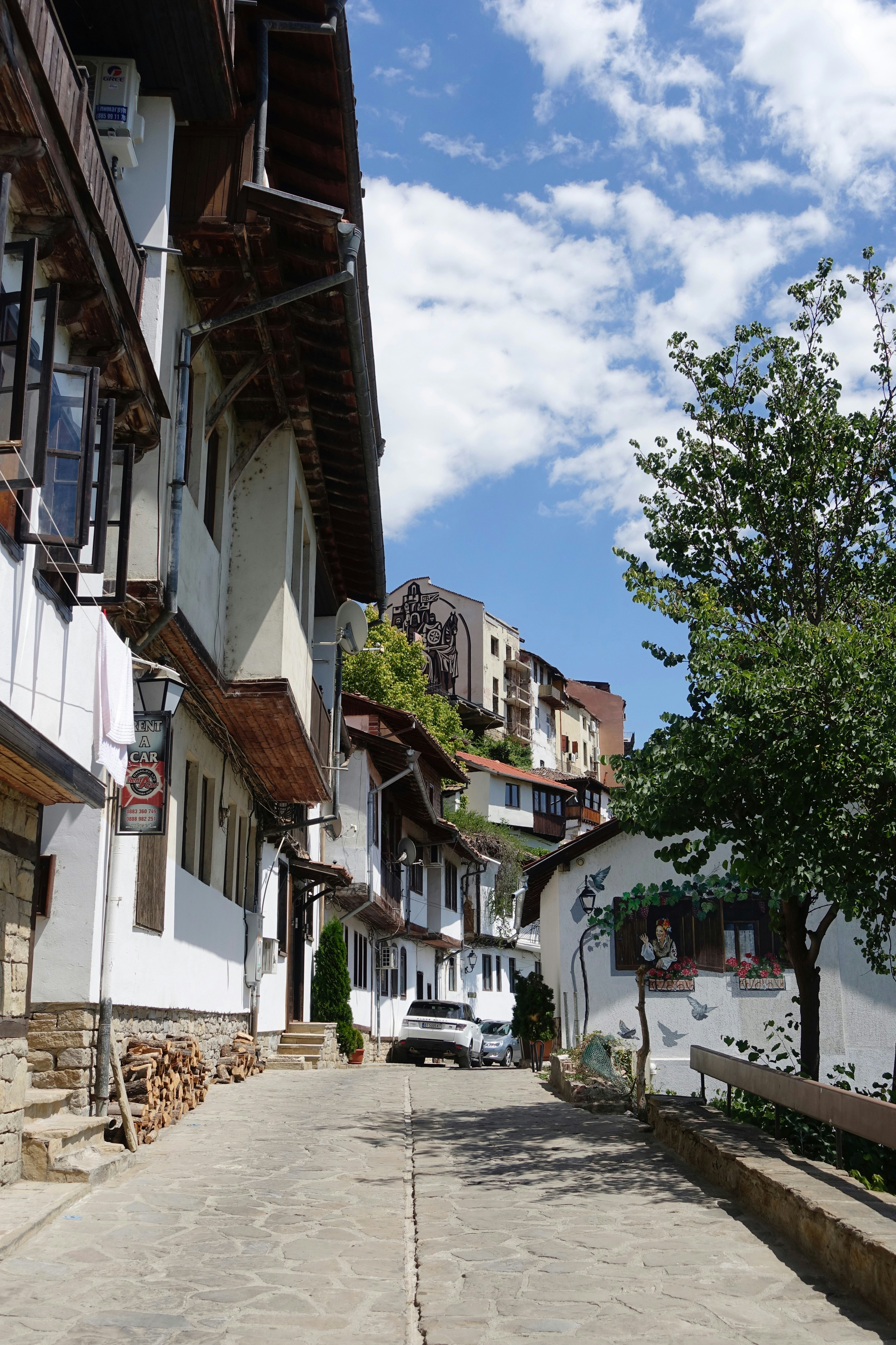 Budget Considerations for Cultural Participation