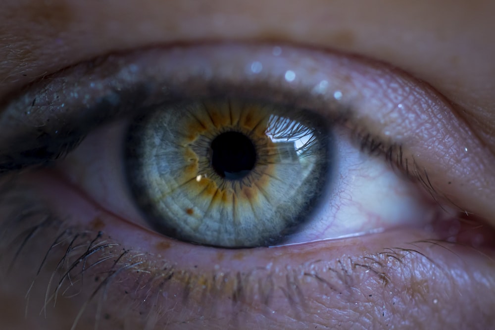 a close up of an eye