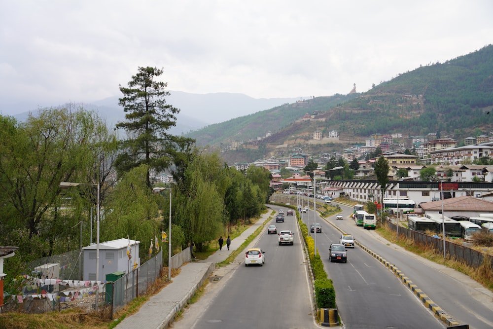 a road with cars on it and trees on the side