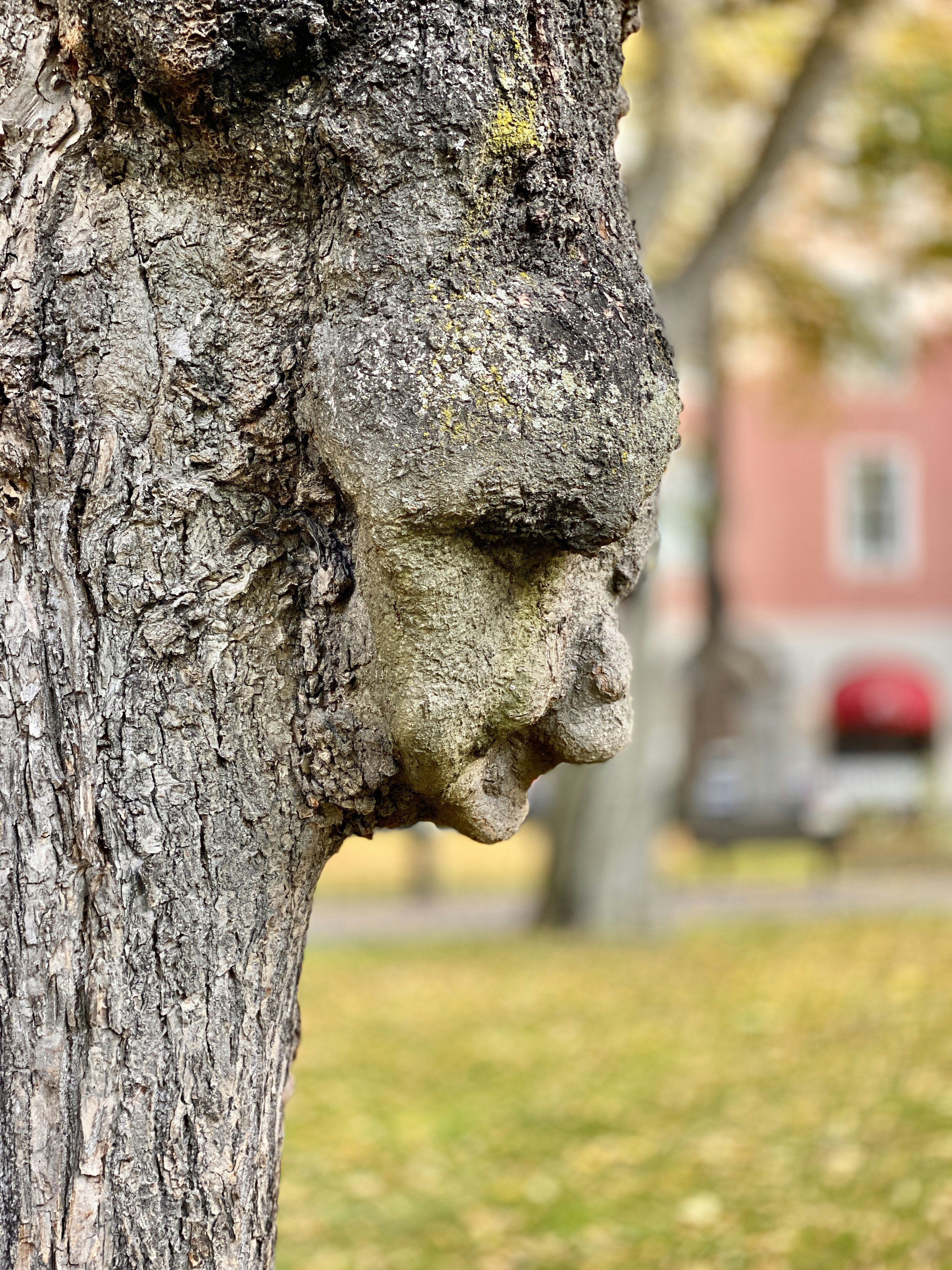 Photo by erik_stockholm