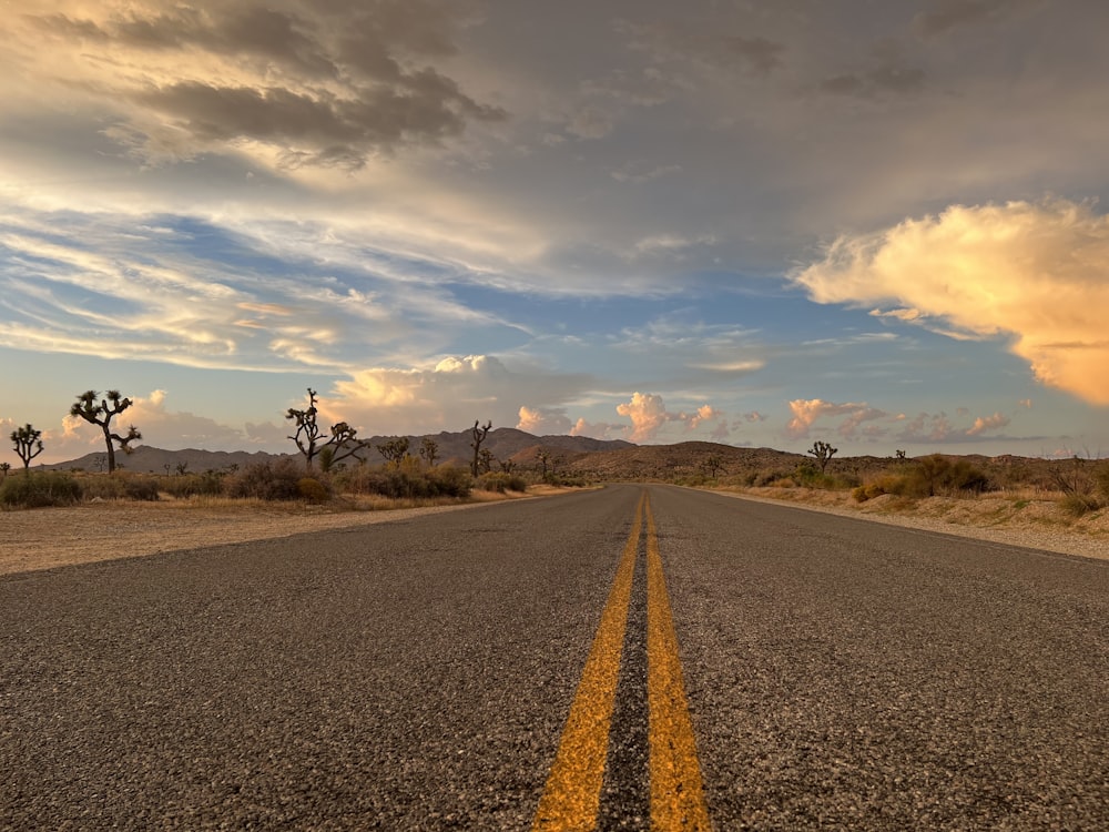 a road with a line of trees on the side and a cloudy sky