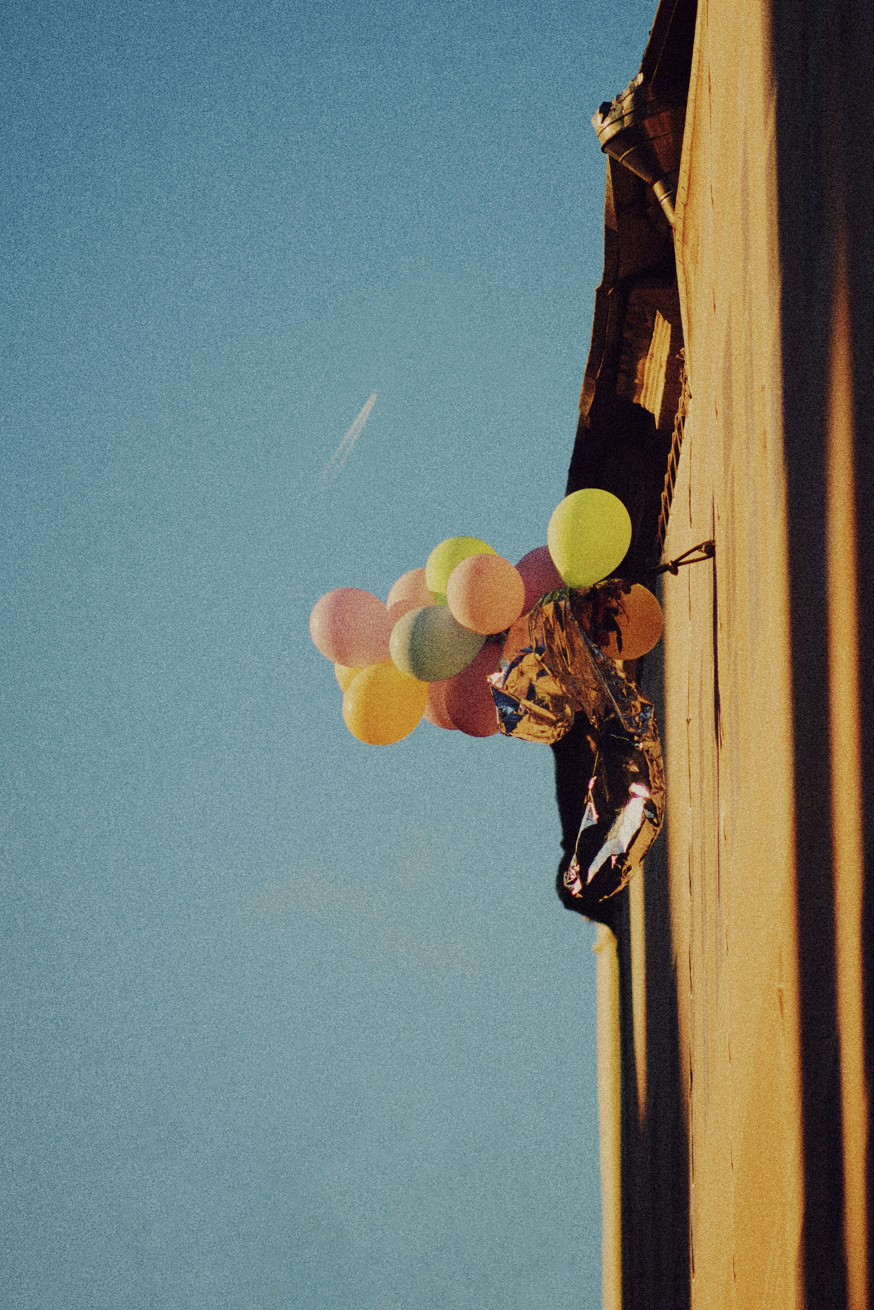 Photo by shklyaevmax