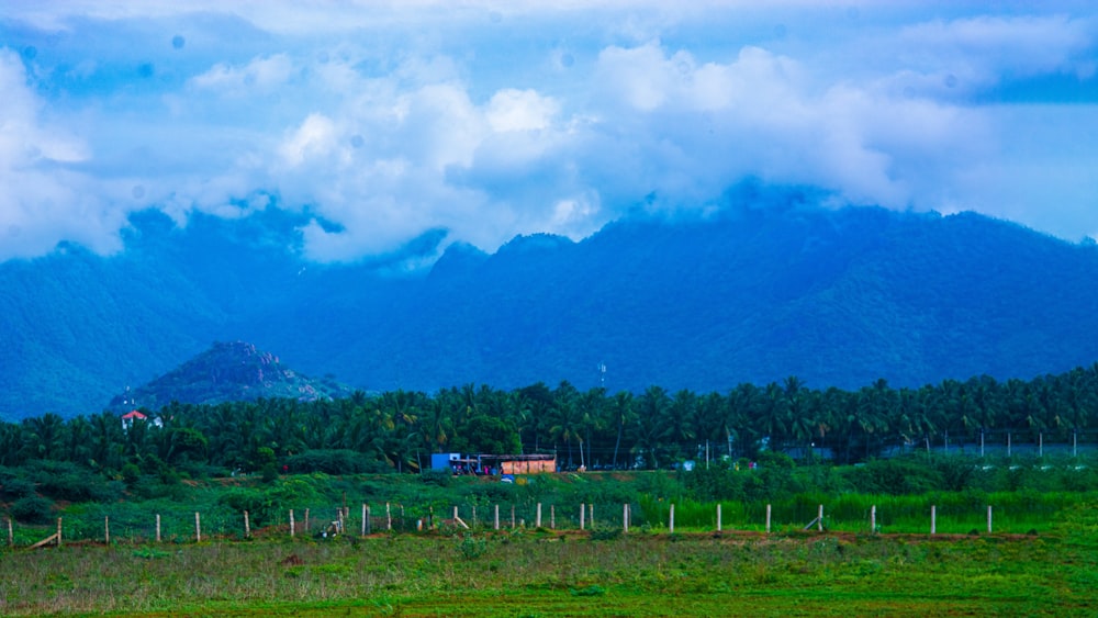 a field with a house and mountains in the background