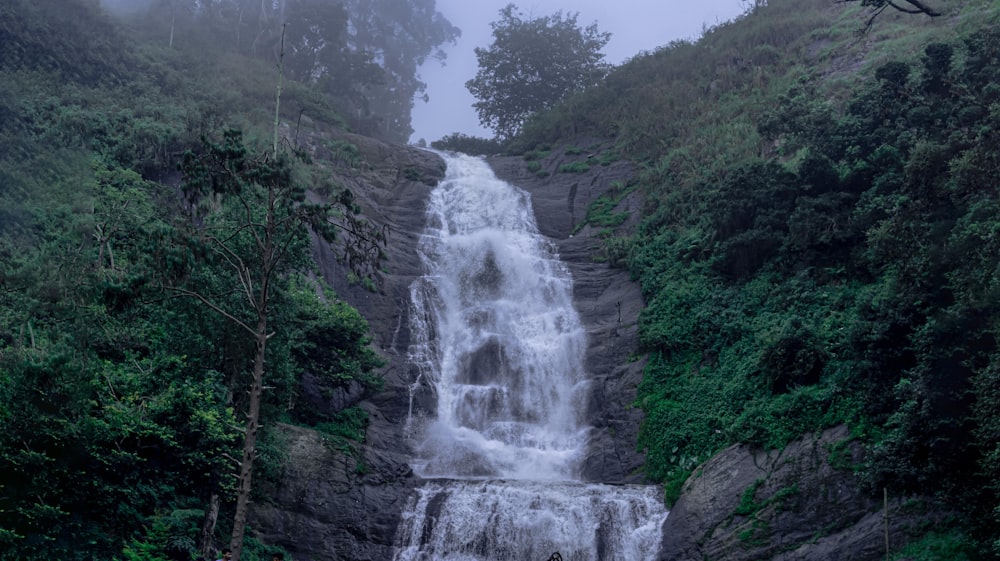 a waterfall in a forest