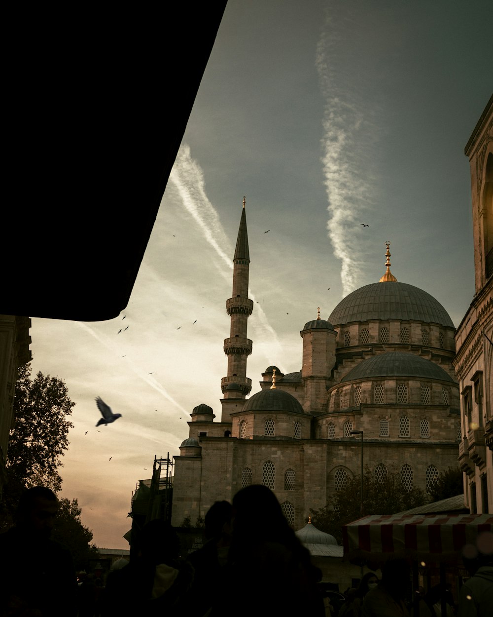 a bird flying over a large building