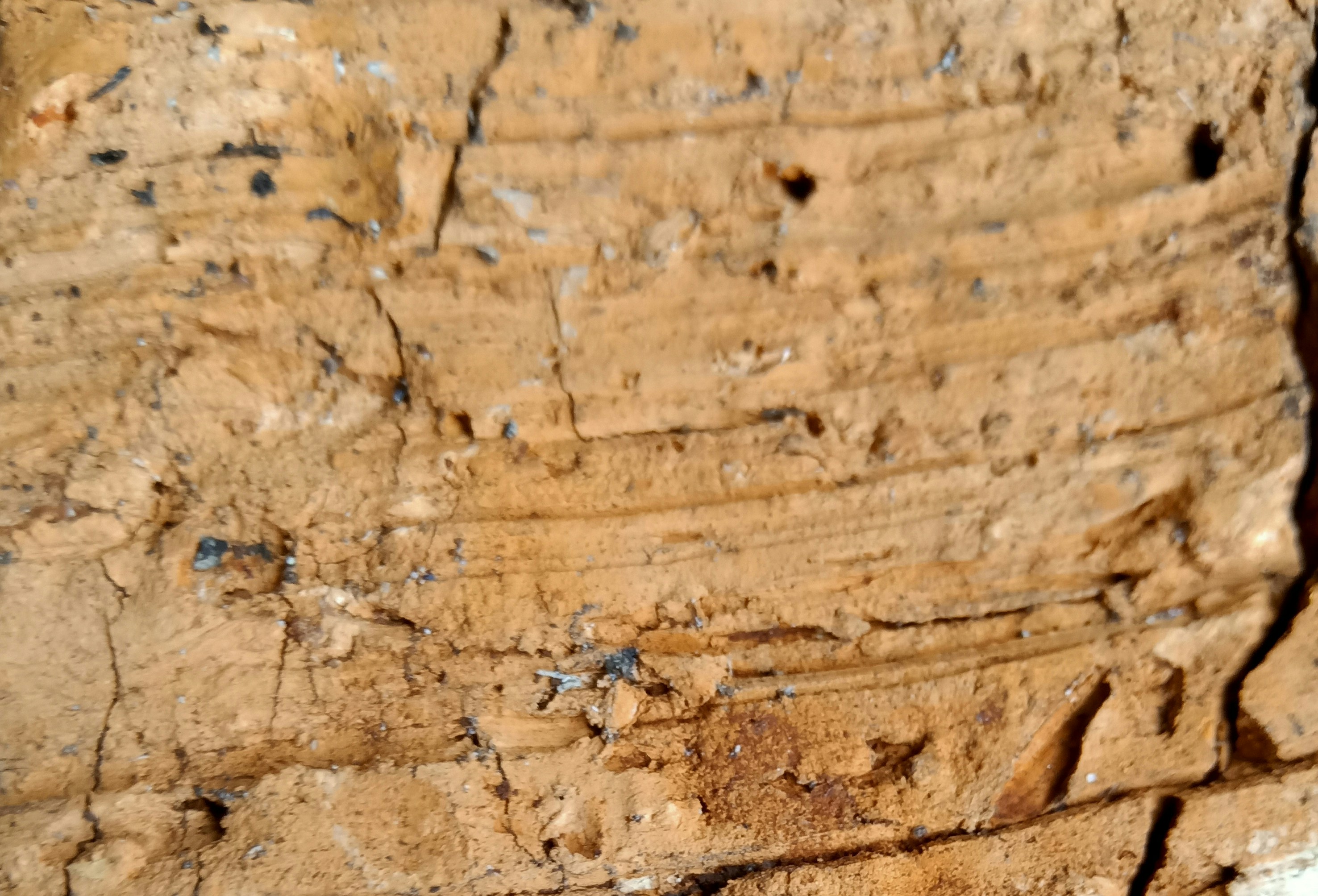 Photo by askarasvarga