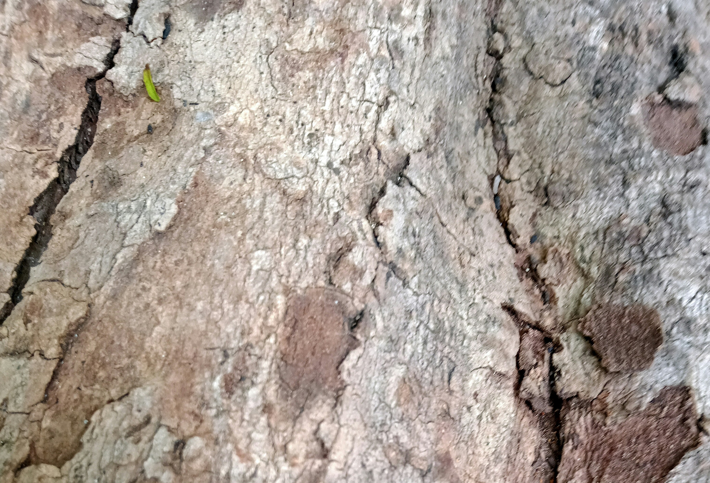 Photo by askarasvarga