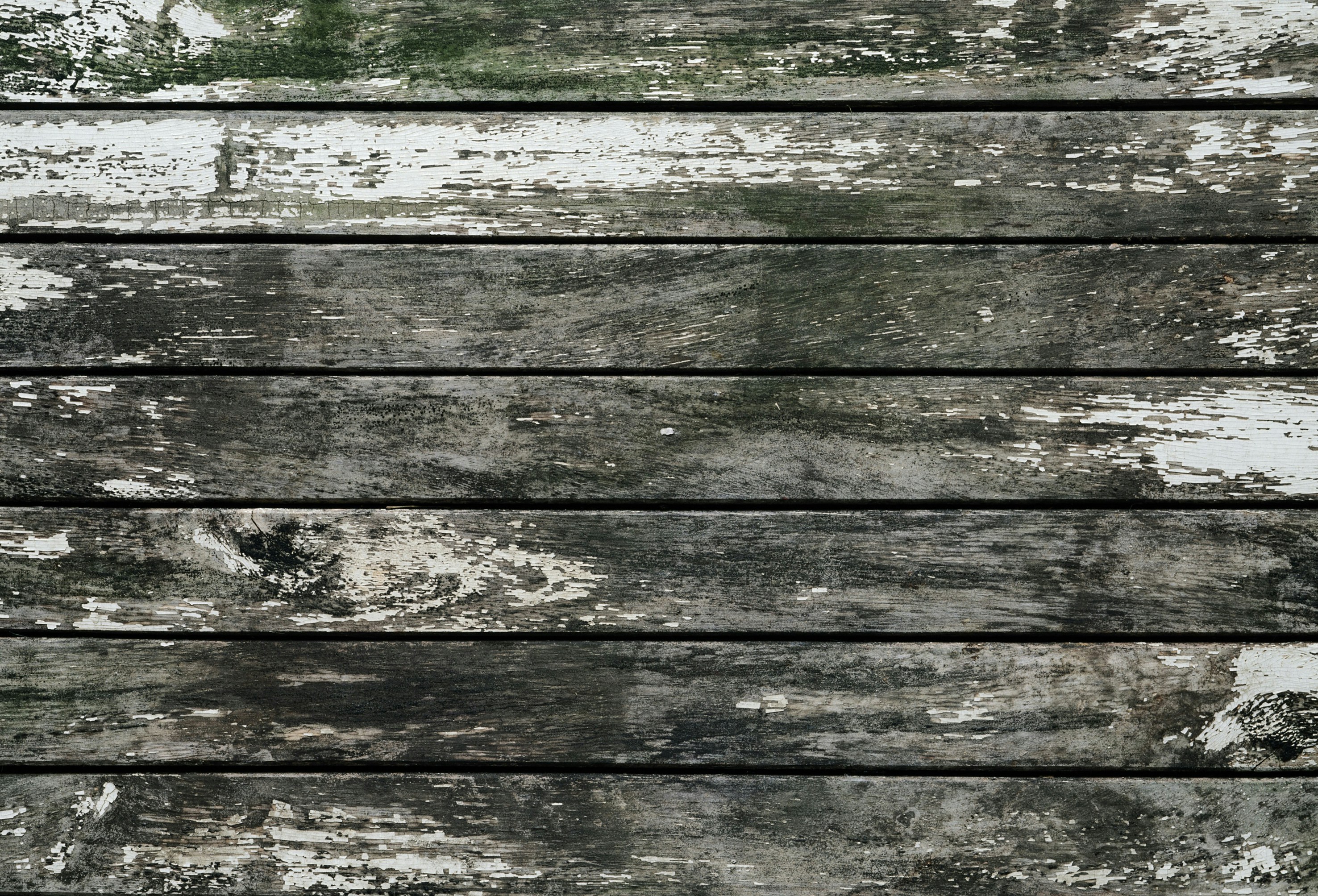 Photo by askarasvarga