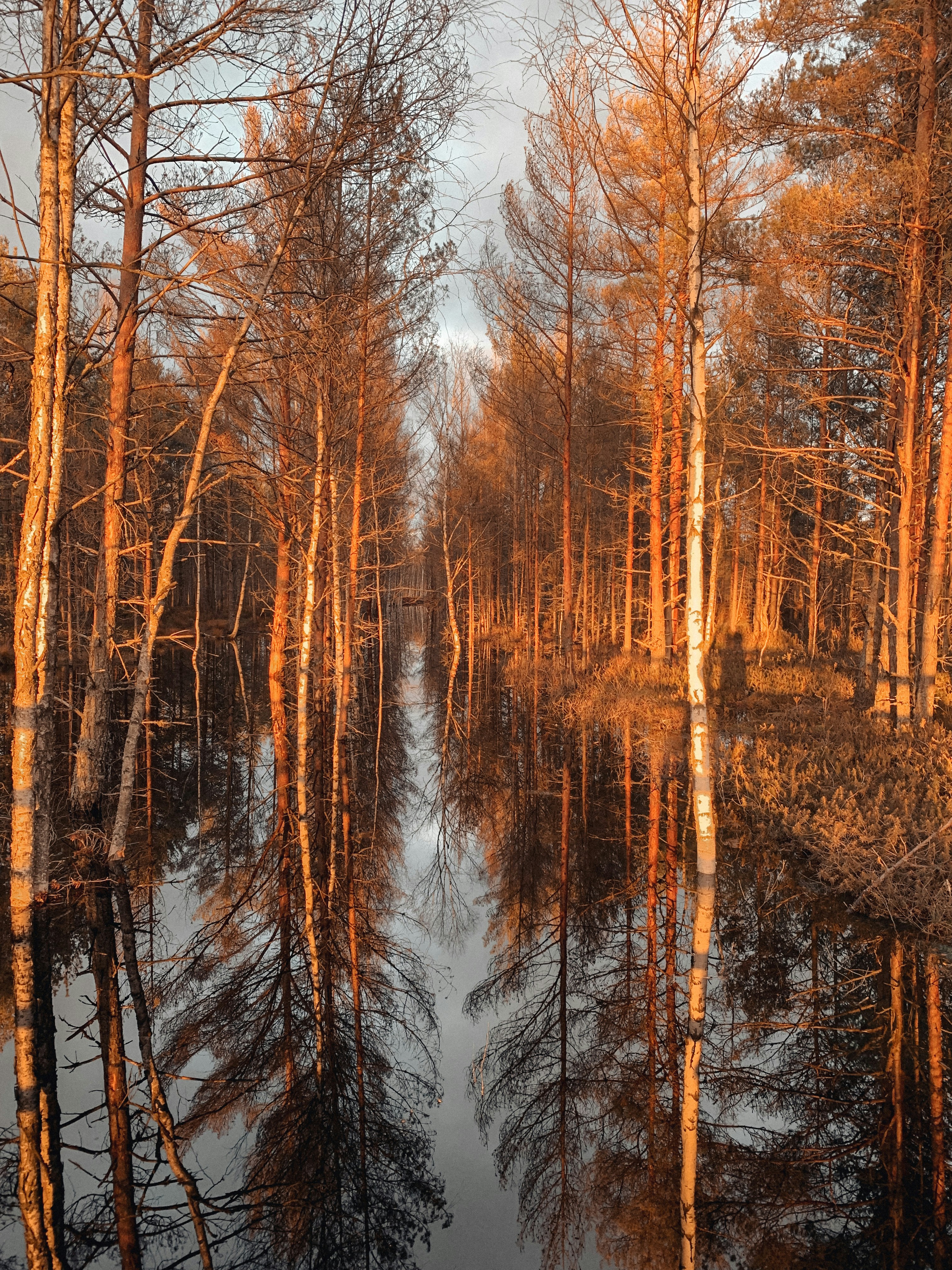 Photo by christinaolshanetska