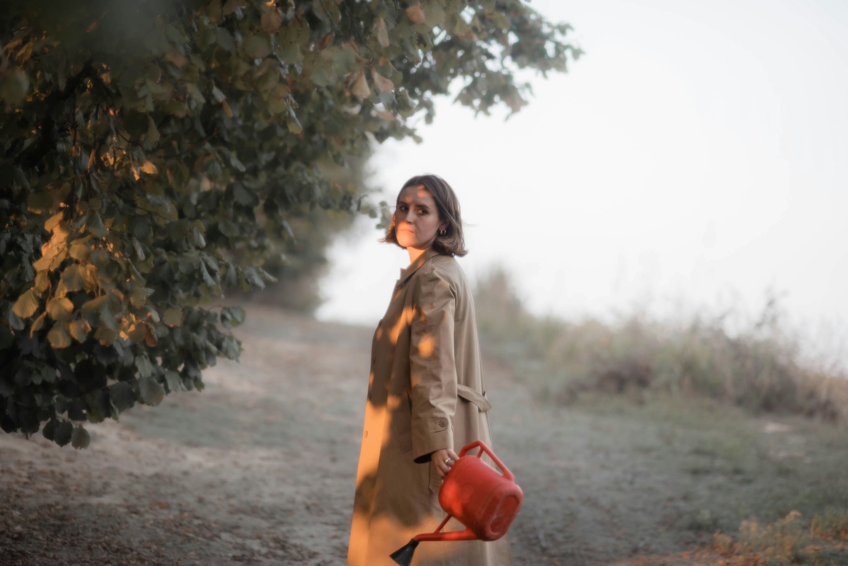 Photo by dimitrofrantz