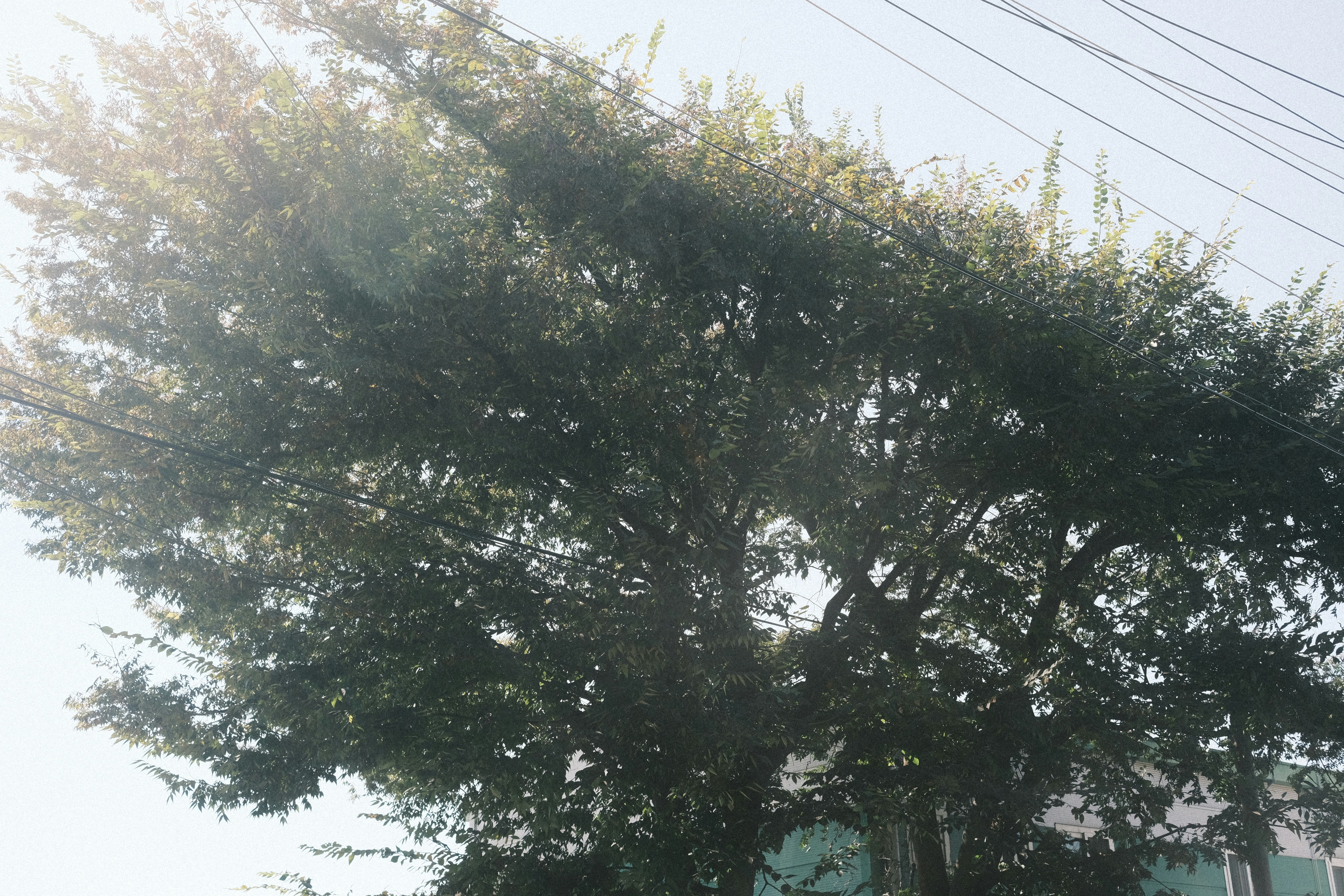 Photo by undermyarchive