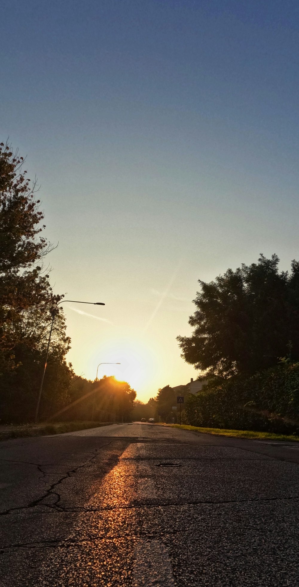 a road with trees on the side