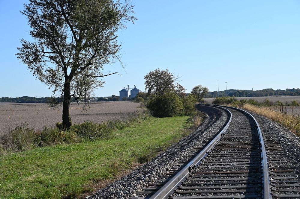 train tracks next to a tree