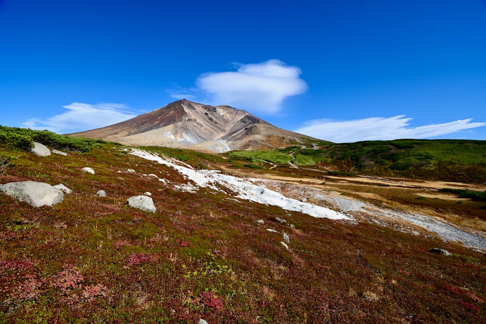 a stream running through a grassy area with a mountain in the background