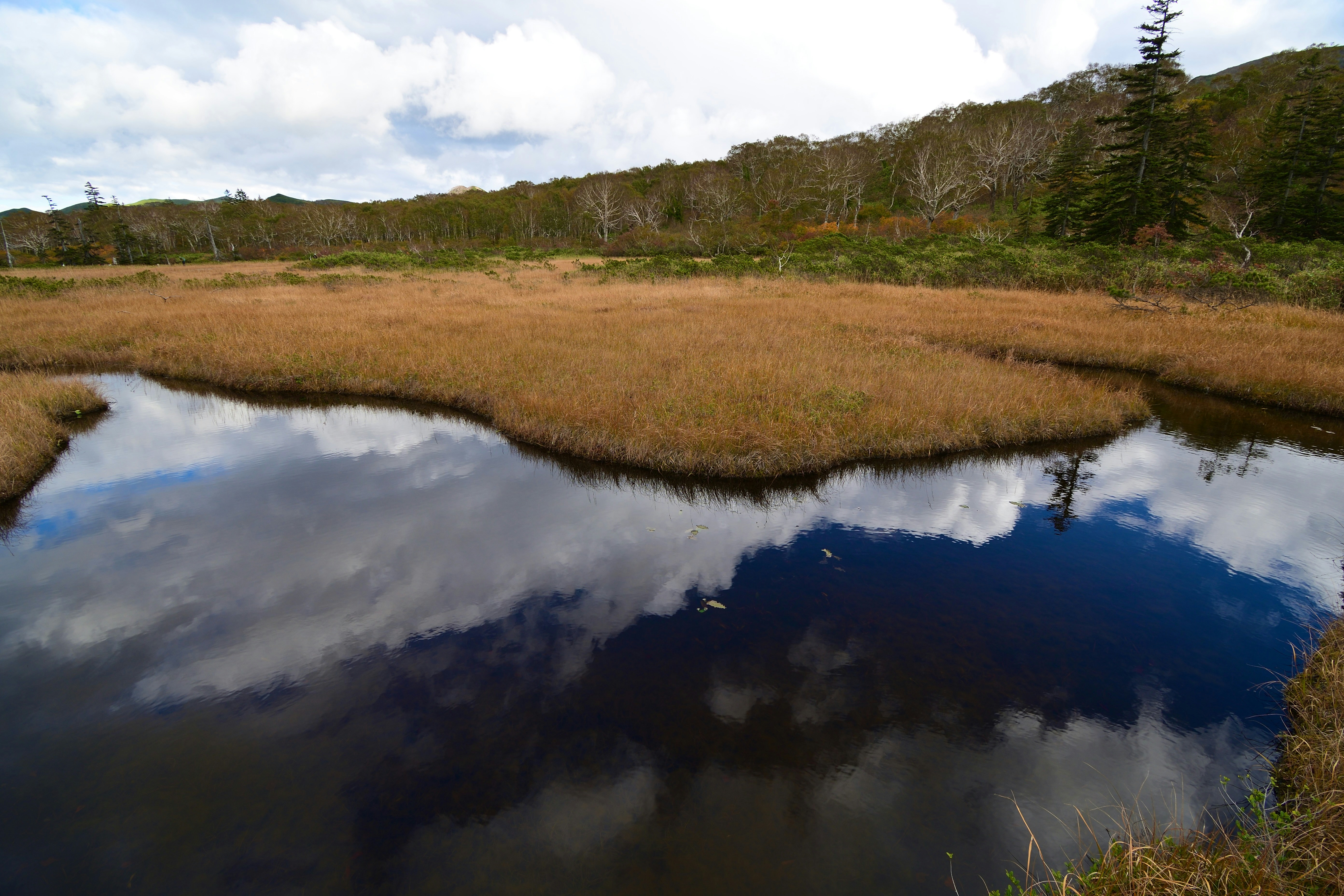 Photo by freezer_nico