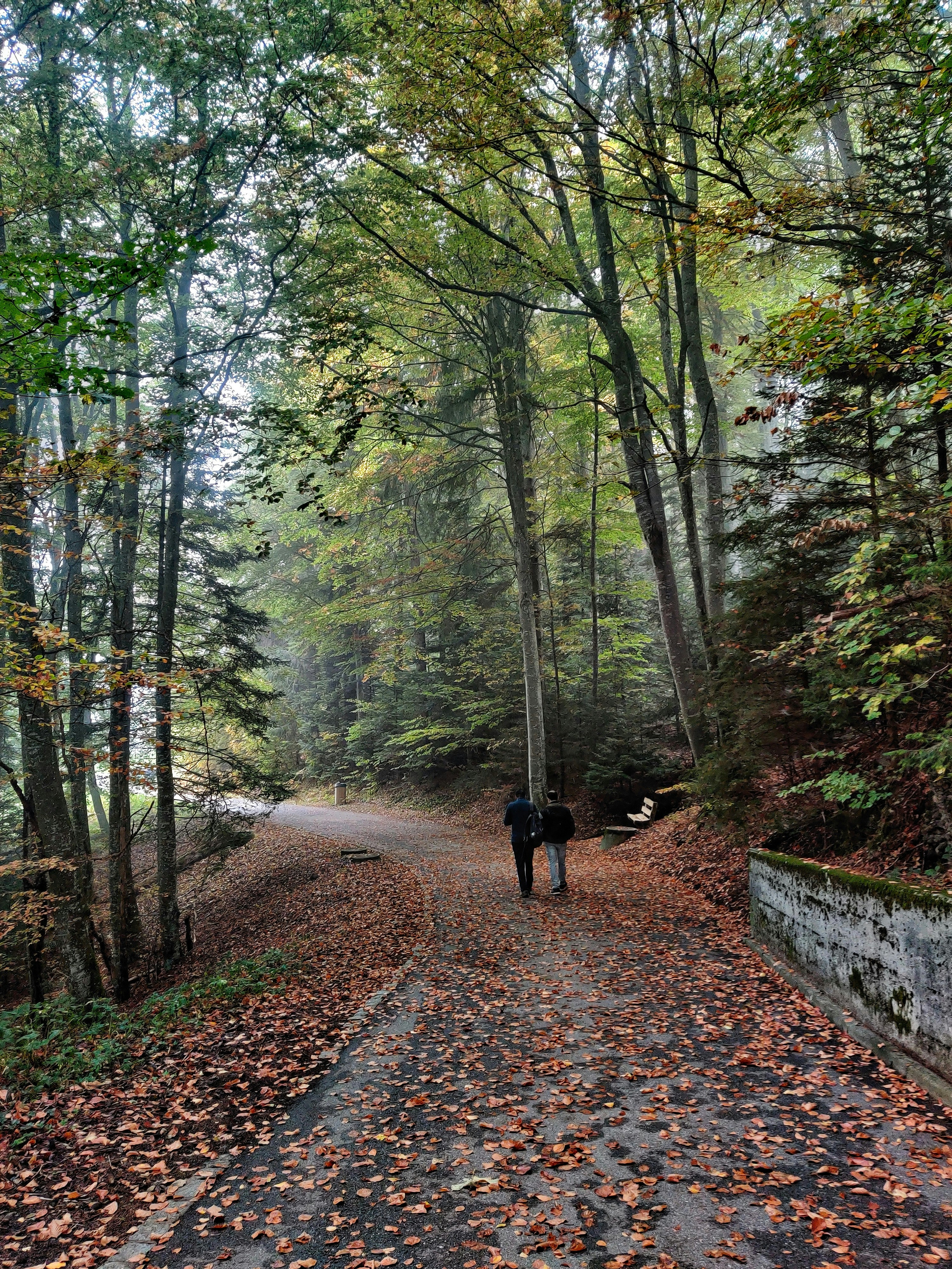 Photo by swaroop_gorur