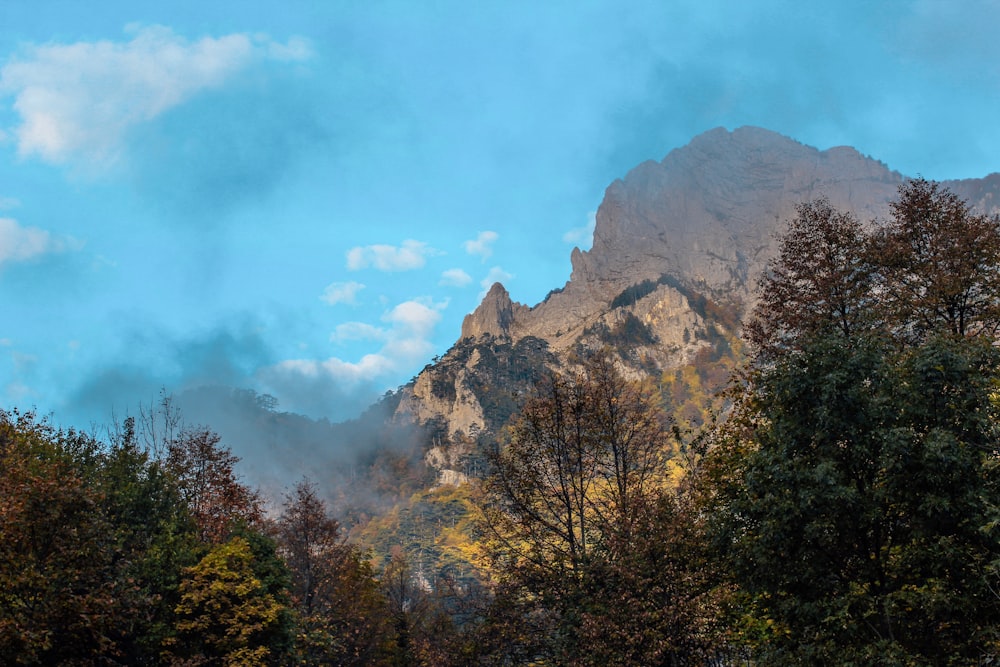 a mountain with trees in front of it