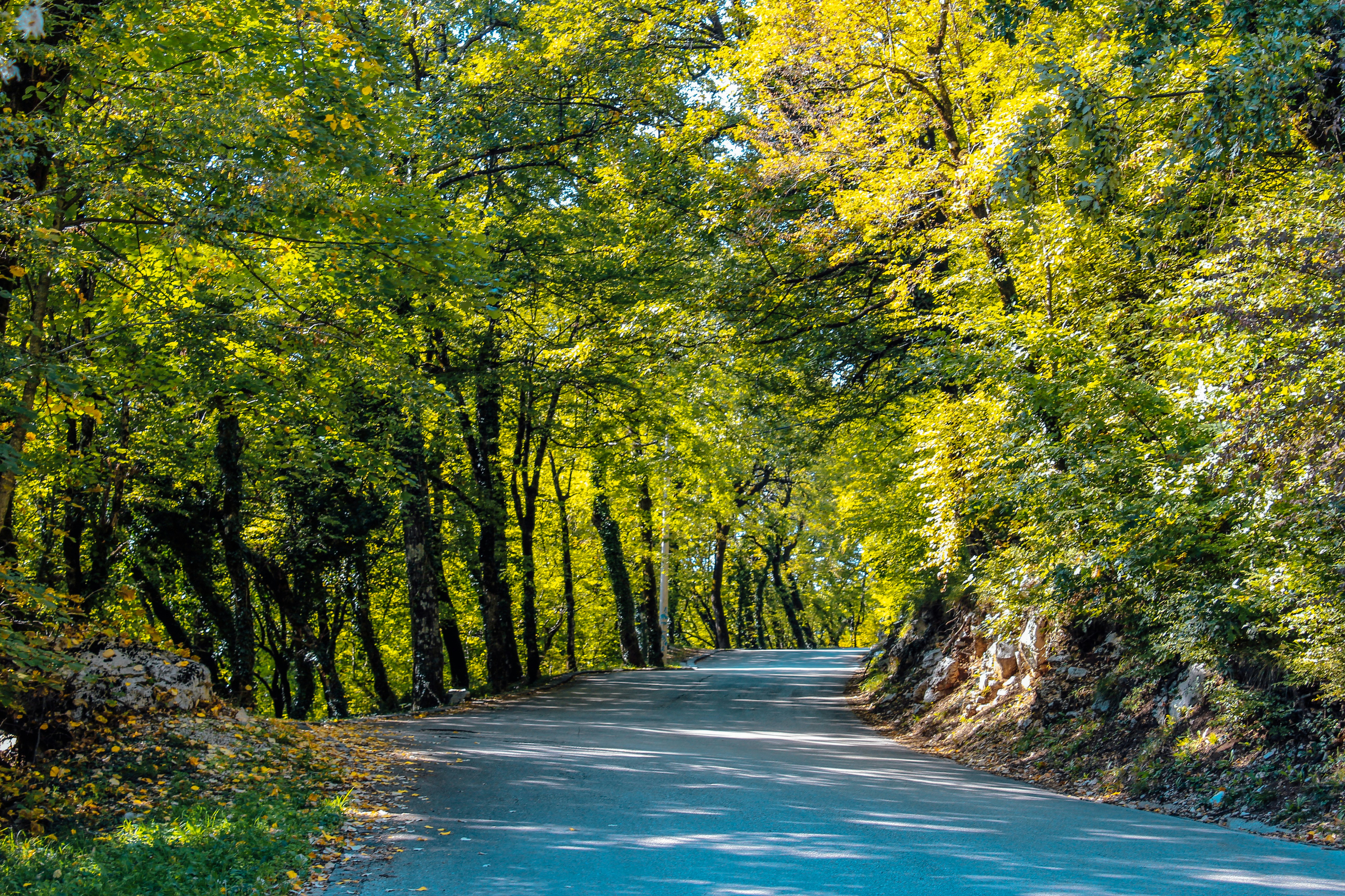 Photo by sredina_jeseni