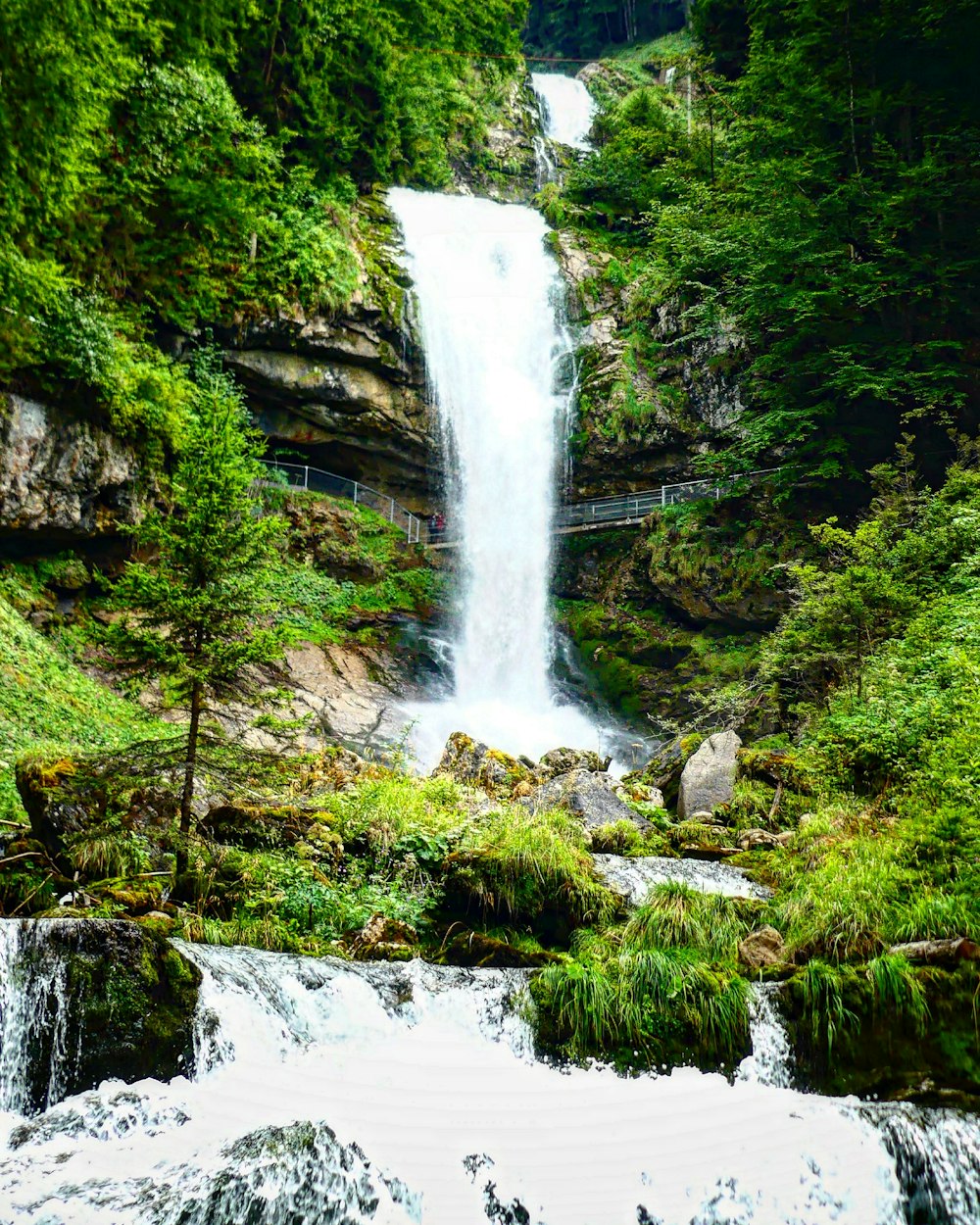 a waterfall in a forest