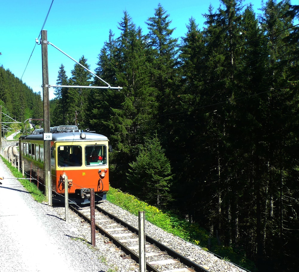 a train on the railway tracks