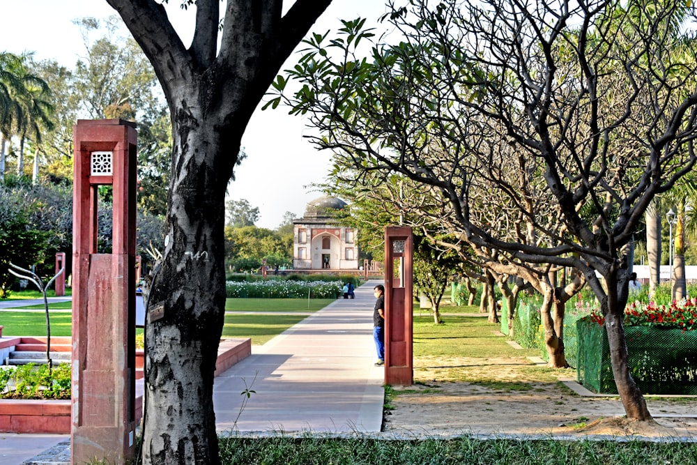 una persona in piedi in un parco