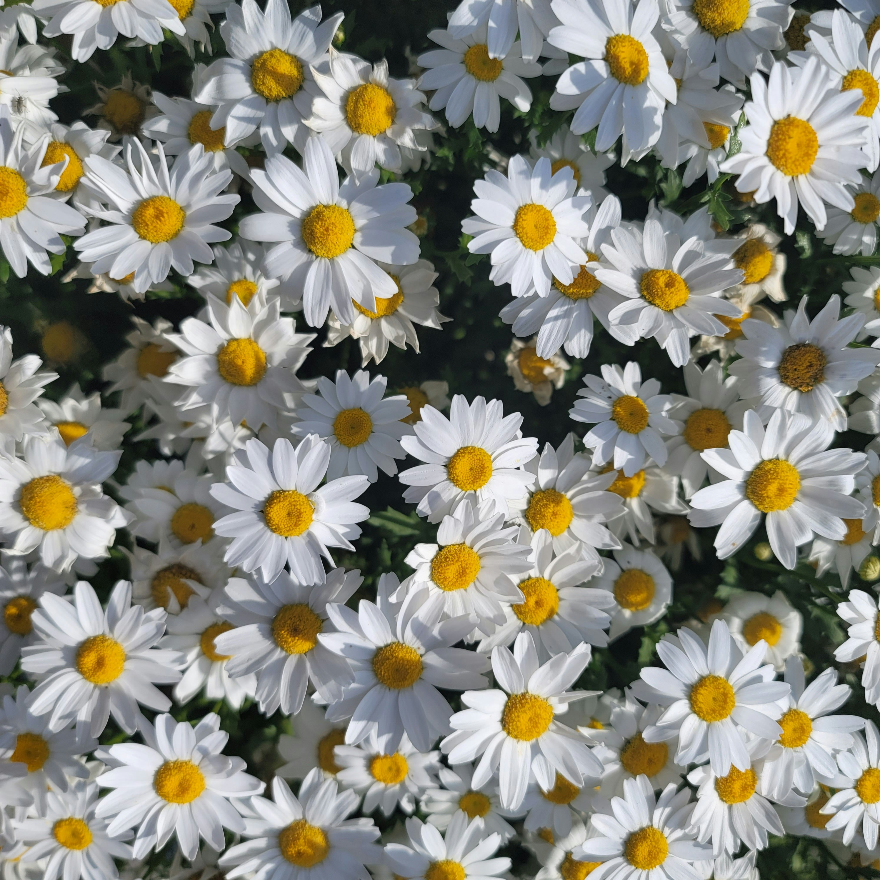 Photo by sunfish_sun