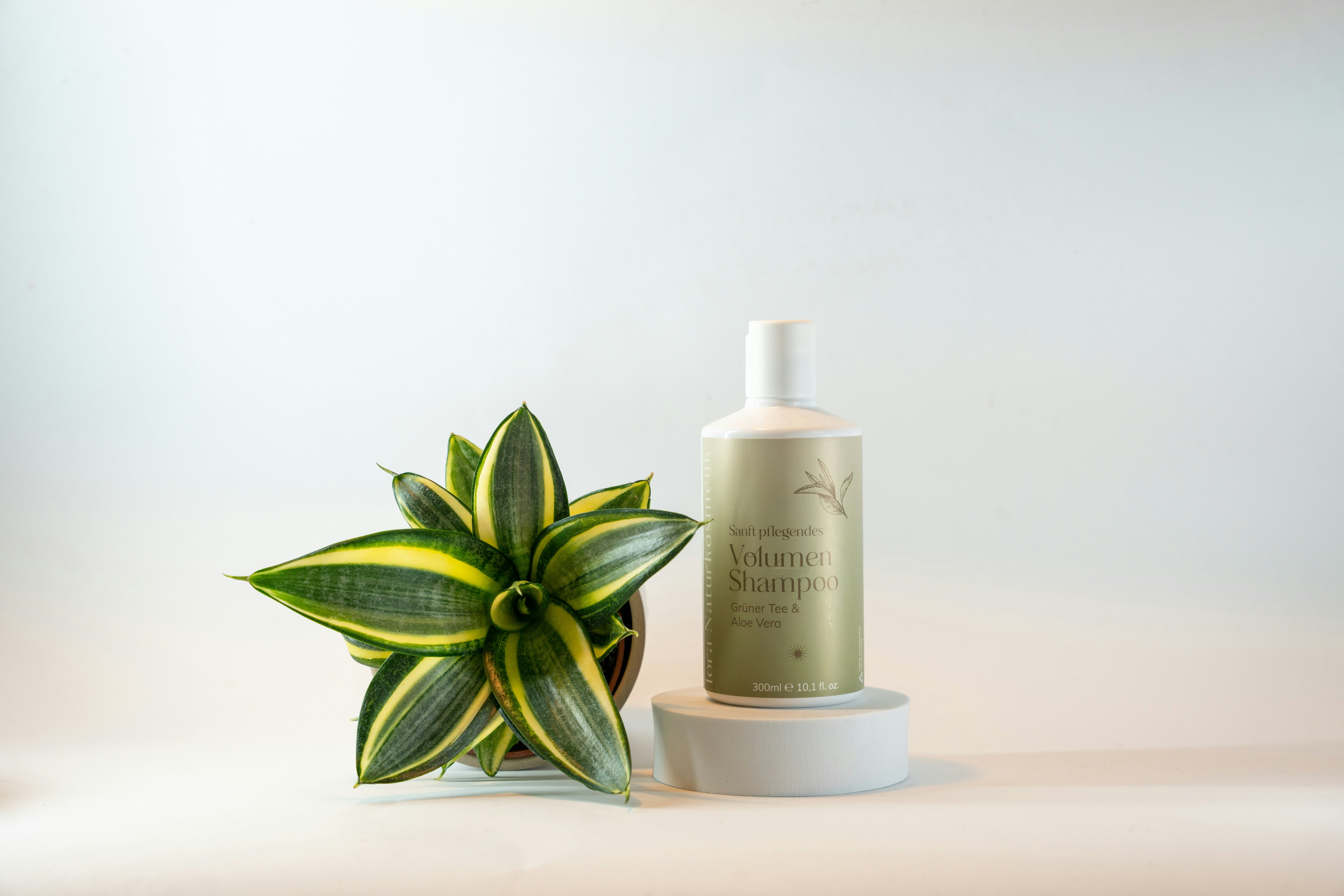 Hair care shampoo bottle with botanical elements on clean white background, professional product shot