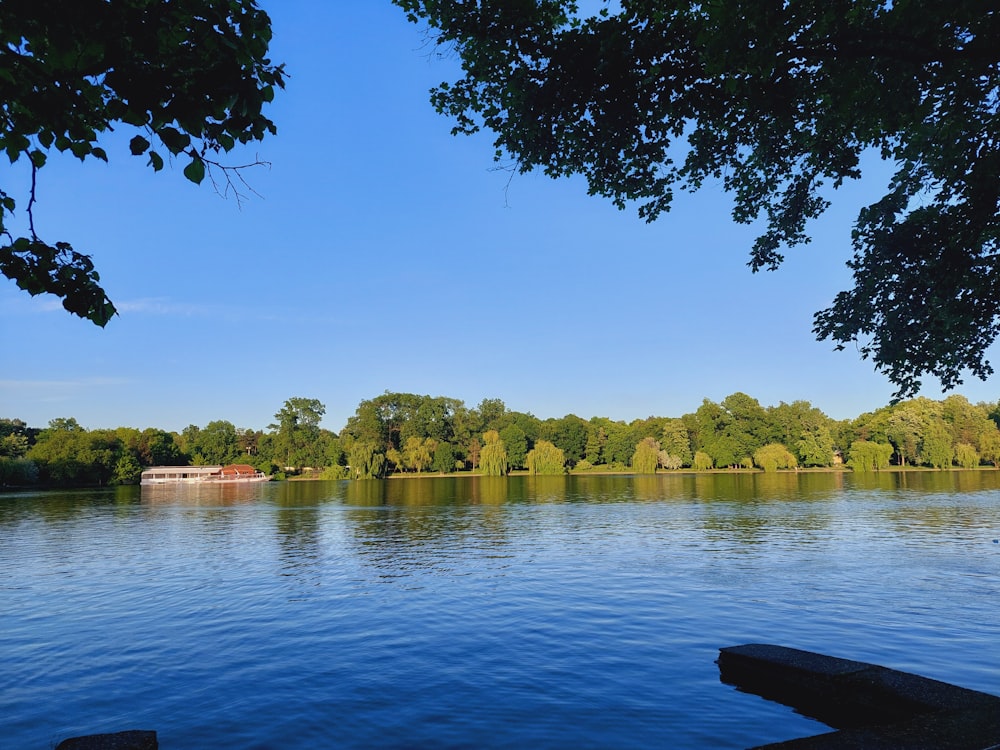 a body of water with trees around it