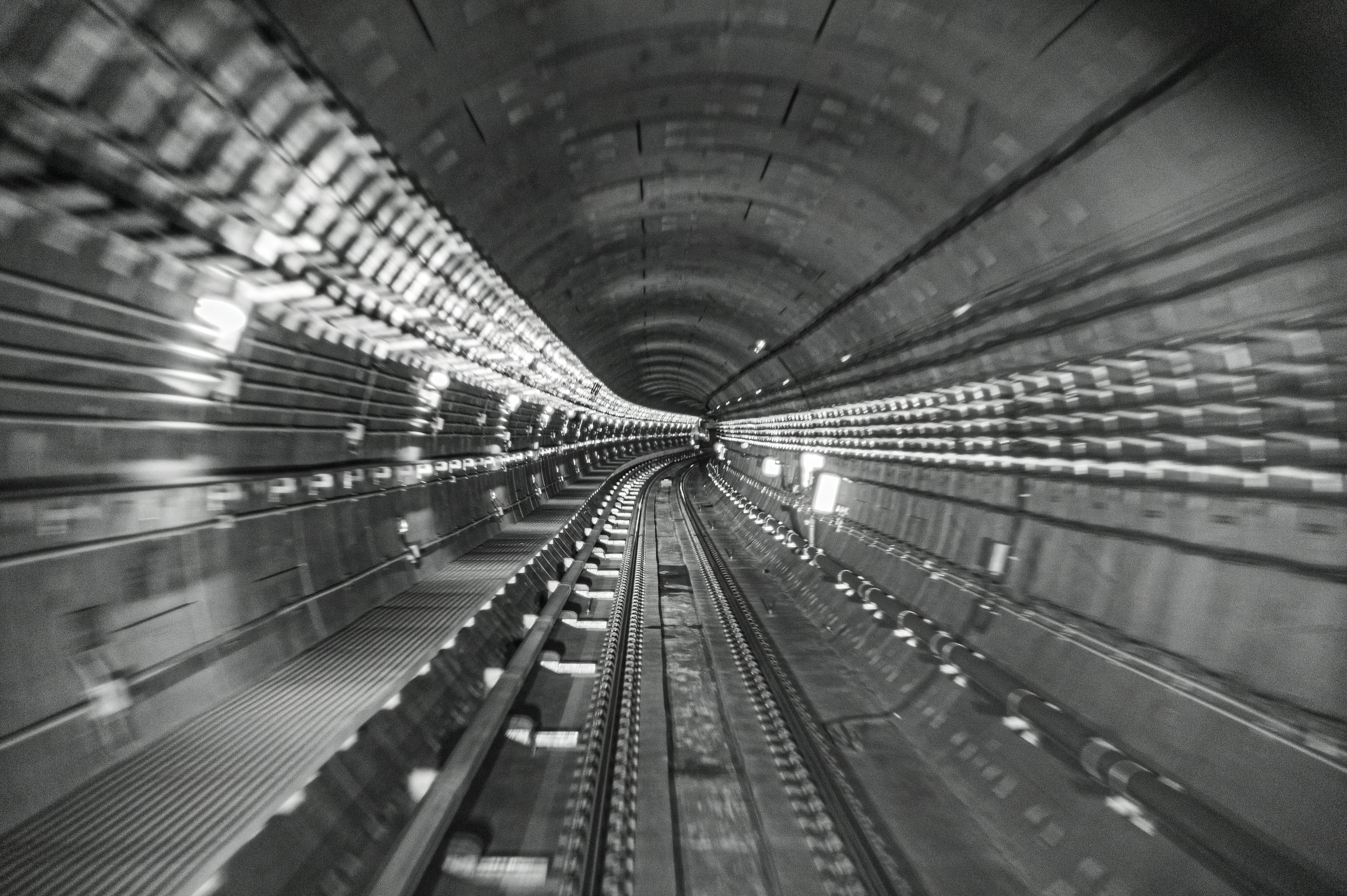 Photo by liuliancheng