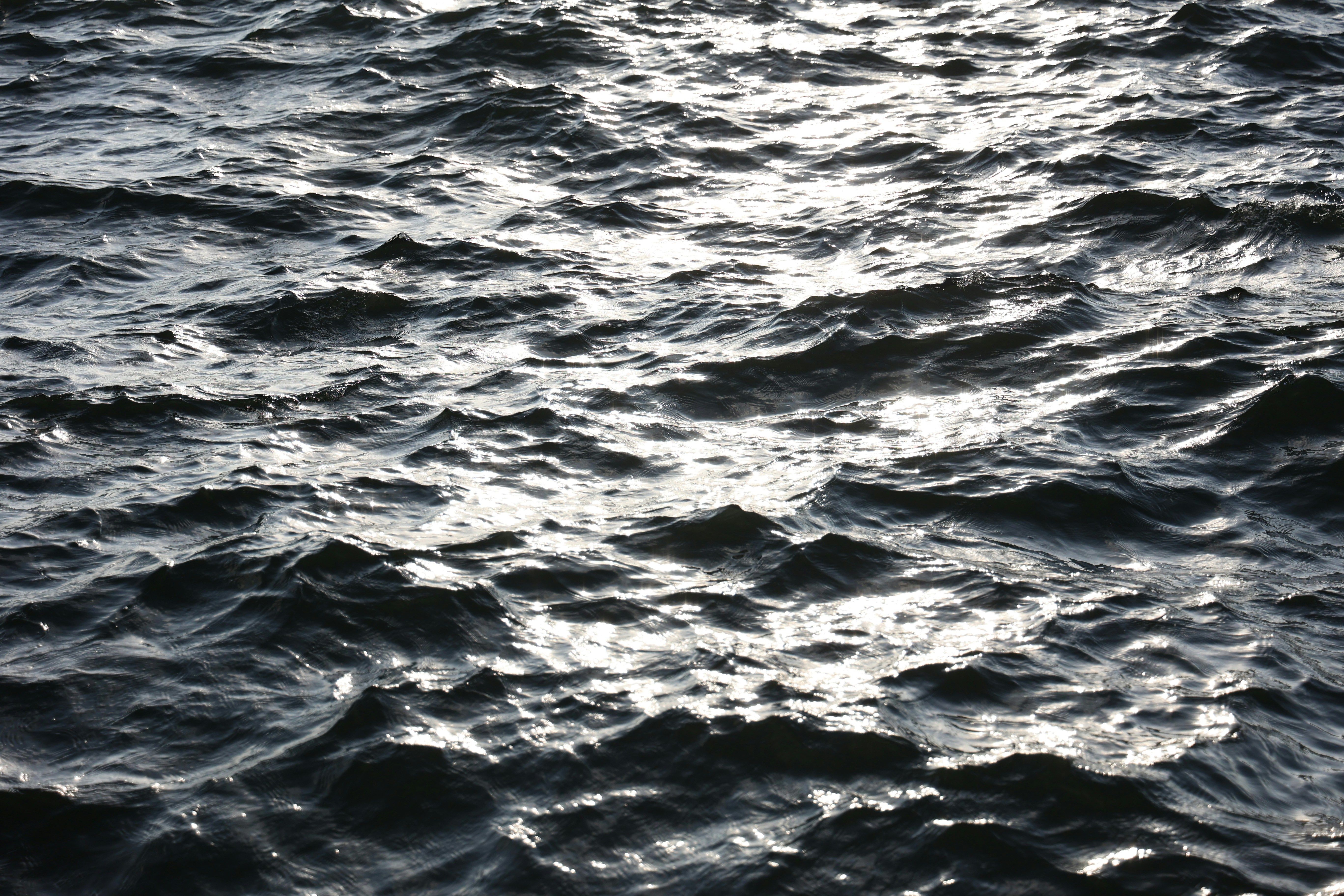 Photo by nananafuzimi