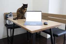 A brown and black cat is sitting on a wooden table next to an open laptop and a mouse. The room has a minimalist design with a wooden bench and a cushion featuring a cat illustration on the bench. The lighting is soft and natural.