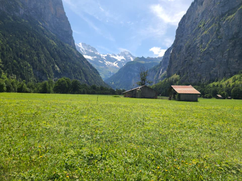 Greenfield plots framed by mountain views