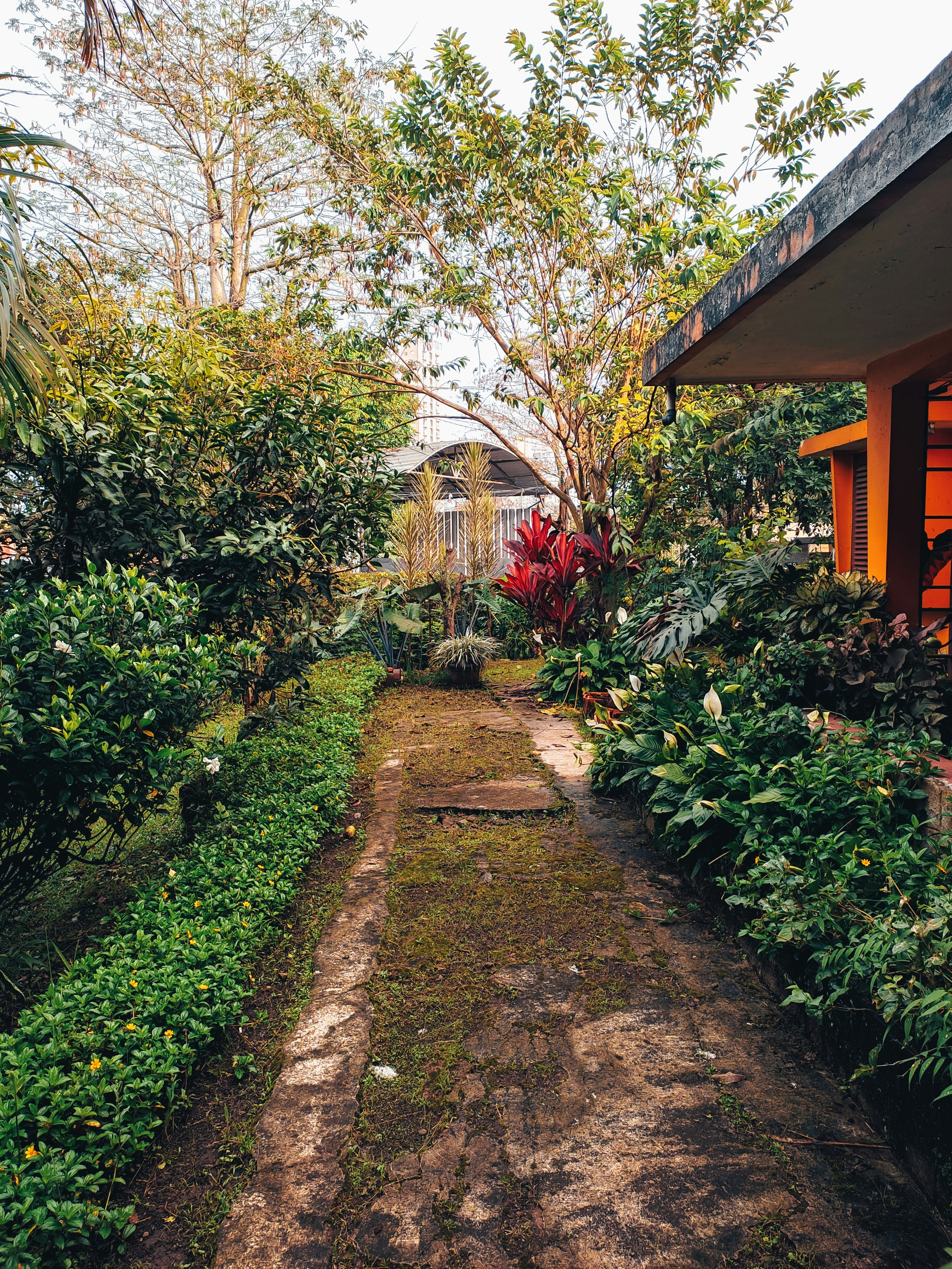 Photo by firdausraginda