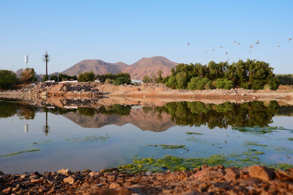 a body of water with birds flying around it