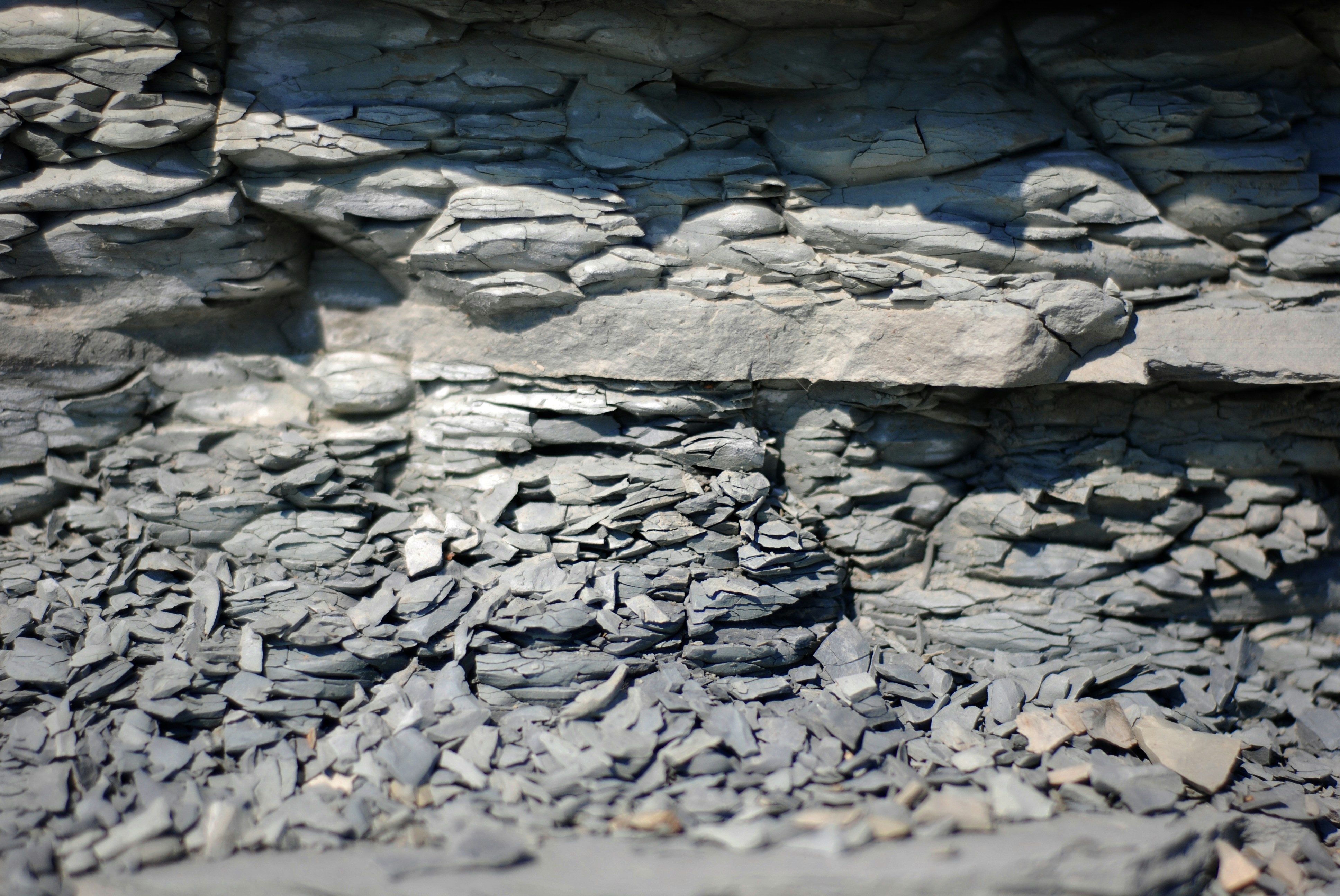 Photo by kovalskihelga