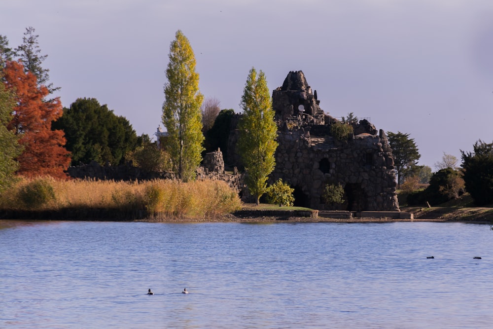 a body of water with trees and a rock structure in the background
