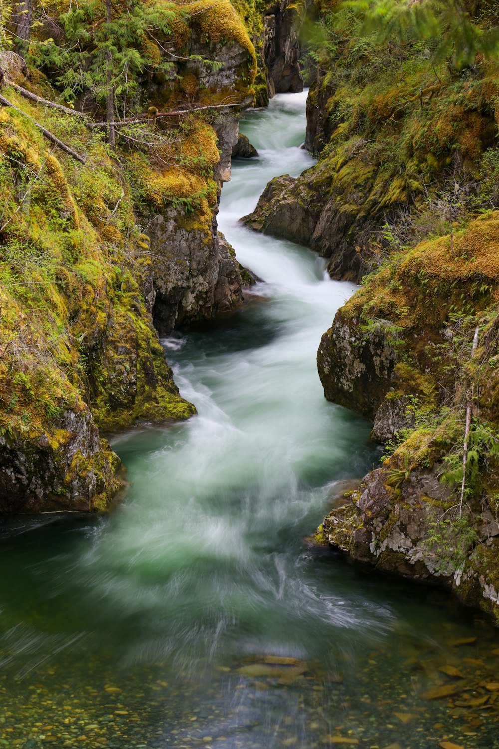 Una cascada en un bosque