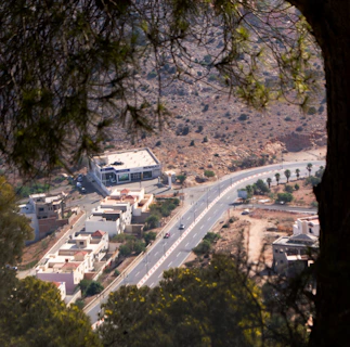 A view from an elevated position shows a winding road passing through a semi-arid landscape with a mix of residential and commercial buildings. In the foreground, tree branches frame the image, adding depth. The buildings have flat roofs typical of the area, one of which has a visible logo. Sparse vegetation and a few scattered trees can be seen.