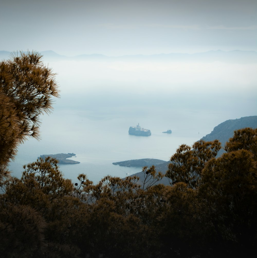 a group of boats in the water