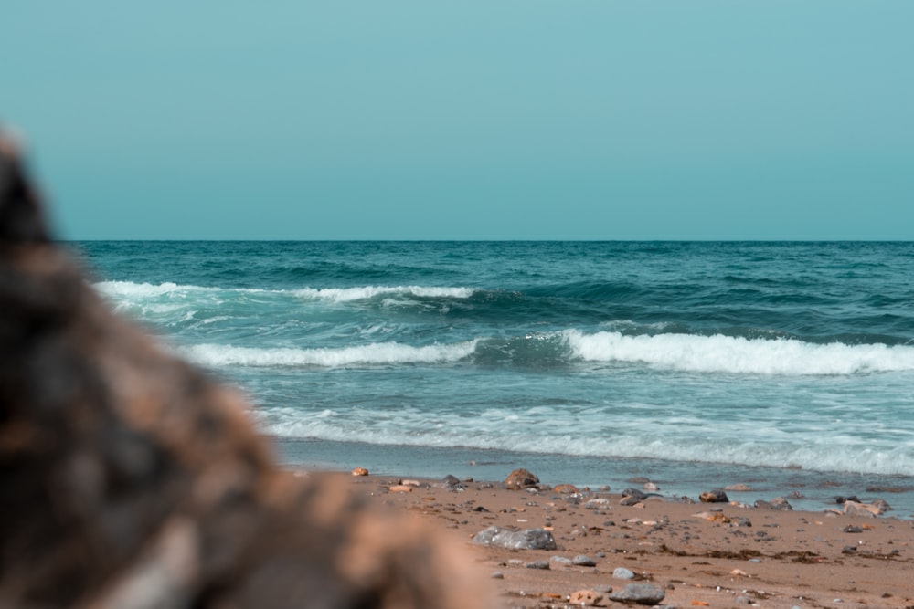 a beach with waves crashing