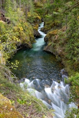 A serene river flows through a narrow, rocky gorge surrounded by lush green trees and vegetation. The water is clear and reflects the greenery of the surrounding forest. The river features small rapids, adding a sense of movement and dynamism to the scene. The overall environment is natural and tranquil, offering a sense of untouched wilderness.