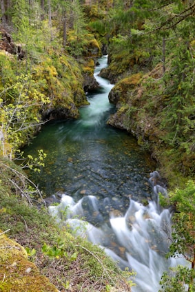 A serene river flows through a narrow, rocky gorge surrounded by lush green trees and vegetation. The water is clear and reflects the greenery of the surrounding forest. The river features small rapids, adding a sense of movement and dynamism to the scene. The overall environment is natural and tranquil, offering a sense of untouched wilderness.