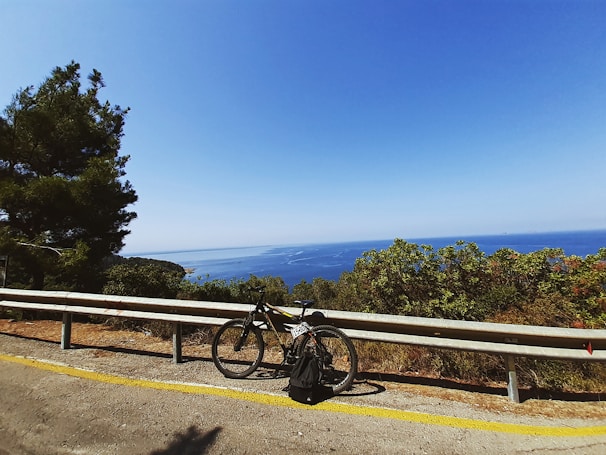 a bicycle parked on a railing overlooking a body of water
